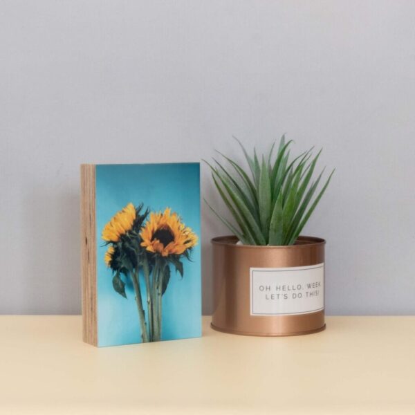 תמונה על בלוק עץ 10×15