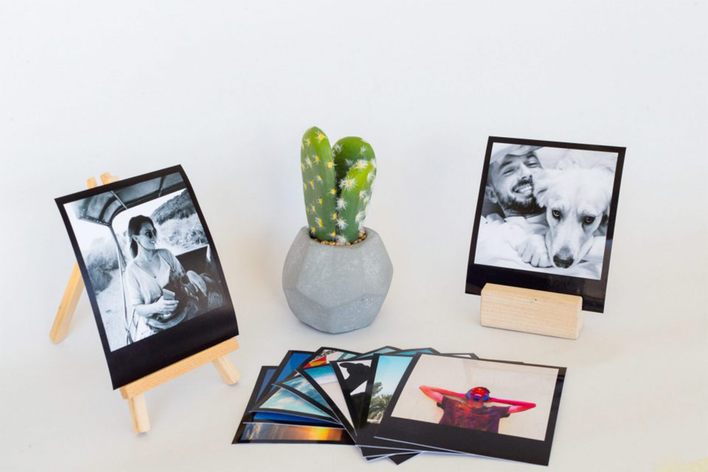 אודות פיקוויק